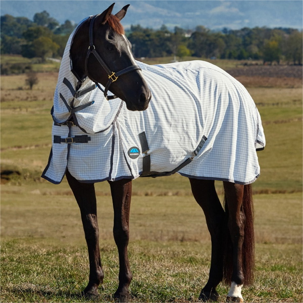 2026 WeatherBeeta Híbrido Combo Hoja 1029513001 - White / Charcoal